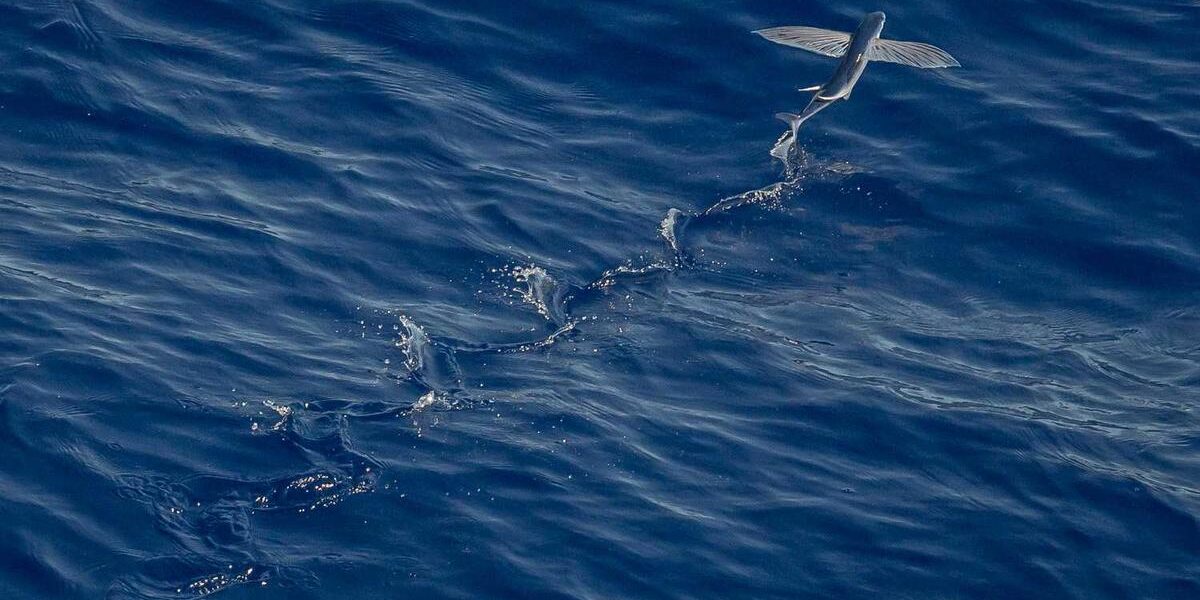 DoD Retirement Benefits for Reservists